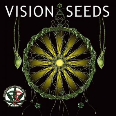 Vision Seeds Vision Kush AutoFem semena neobsahují THC 3 ks – Sleviste.cz