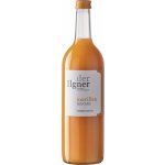 Der Ilgner, meruňkový nektar, Špalek 0,75 l – Zboží Dáma