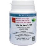 Giovanni Maciocia T37 Uklidnění ducha 60 tablet – Hledejceny.cz