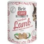 Brit Care Snack Superfruits Lamb Adult 100 g – Zboží Mobilmania
