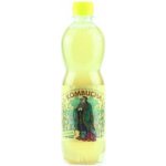 Stevikom Kombucha heřmánek 0,5 l – Zboží Dáma