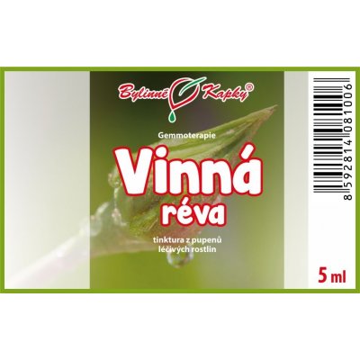Vinná réva tinktura z pupenů 5 ml gemmoterapie doplněk stravy – Hledejceny.cz
