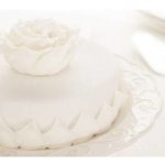 Zeelandia Roll Decor Potahovací hmota 2,5 kg – Sleviste.cz