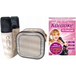 BLUETOOTH REPRODUKTOR PŘENOSNÝ KARAOKE RGB 2 MIKROFONY USB SD MINI JACK – Sleviste.cz