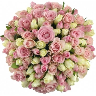 Kytice 100 míchaných růží DENAE 50cm – Zboží Dáma