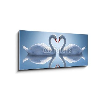 Obraz 1D panorama - 120 x 50 cm - Romantic two swans, symbol of love. Romantické dvě labutě, symbol lásky. – Hledejceny.cz