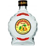 R. Jelínek Hruškovice Williams 42% 0,2 l (holá láhev) – Zboží Dáma