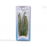 Tetra Anacharis 23 cm – Zboží Mobilmania