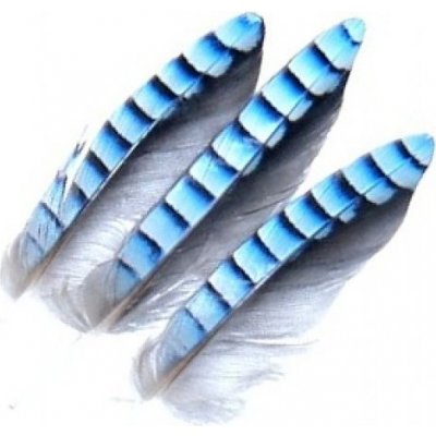 Veniard Jay Wing Hackles Sojčí pírka – Sleviste.cz