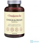 Chaganela Extrakt čagy s reishi 150 kapslí – Hledejceny.cz