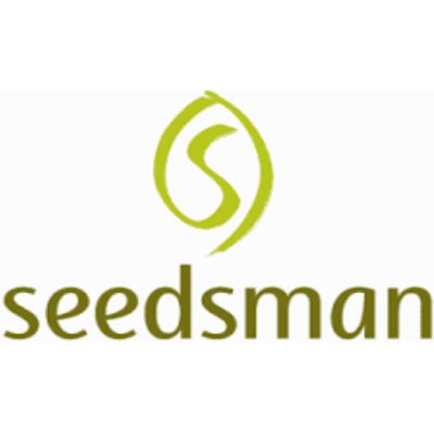 Seedsman Seeds CBD Critical Mass semena neobsahují THC 5 ks