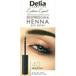 Delia Instant Eyebrown Tint barva na obočí 4.0 hnědá 6 ml – Hledejceny.cz