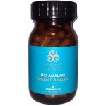 Amalaki Bio Amla trávení a imunita 60 kapslí – Hledejceny.cz