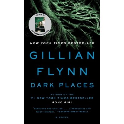 Dark Places Flynn GillianPaperback – Zboží Mobilmania