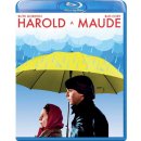 Harold a Maude BD