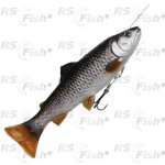 Savage Gear Pstruh 4D Line Thru Pulsetail Trout SS Chub Trout 16 cm 51 g – Zboží Dáma