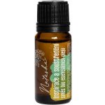 Natasha Inspirace a soustředění směs bio esenciálních olejů 10 ml – Zboží Dáma