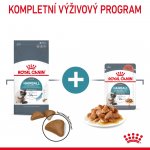 Royal Canin Hairball Care 2 kg – Zboží Mobilmania
