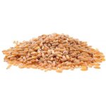 Fauna Hradil Pšenice krmná 25 kg – Zboží Dáma