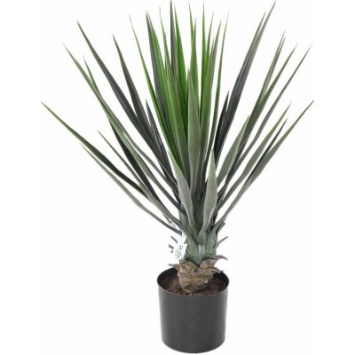 Umělá Yucca Rostrata palma, 60cm – Zbozi.Blesk.cz