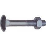 Vratový šroub s maticí DIN603 M12x240, ocel pozink (25 ks) – Sleviste.cz