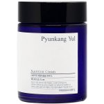 Pyunkang Yul Nutrition Cream výživný krém 100 ml – Hledejceny.cz