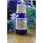 Bachovy květové esence Vervain Globuli 10 g – Hledejceny.cz