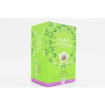 English Tea Shop Zelený čaj s jasmínem a bezinkou 20 sáčků – Hledejceny.cz