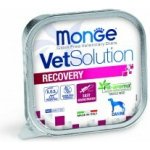 Monge Vet Dog Recovery imunita 150 g – Zboží Mobilmania