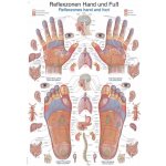 Anatomický plakát Erler Zimmer - Reflexní zóny rukou a chodidel 50 x 70 cm | DE, EN – Zboží Dáma