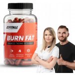 Fitall Burn Fat 90 kapslí – Hledejceny.cz