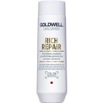 Goldwell Dualsenses Rich Repair Shampoo 250 ml – Hledejceny.cz