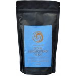 Houbová káva Instantní Elixír Hromového Vlka káva Arabica Reishi Chaga Lví hříva Cordyceps Maca Alkalizované kakao 250 g – Zboží Dáma