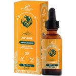 Extrakt z houby Lví hříva Lions Mane 10 ml – Hledejceny.cz
