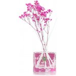 Ashleigh & Burwood Difuzér Life in Bloom Lotus Flower & Watermelon 100 ml – Hledejceny.cz