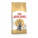 Royal Canin British Shorthair Adult 4 kg – Sleviste.cz