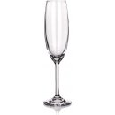 Crystal Banquet šampaň. flétna OK 220ml 6ks