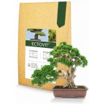 Ectovit Bonsai mykorhiza pro bonsaje Symbiom 100 g – Sleviste.cz