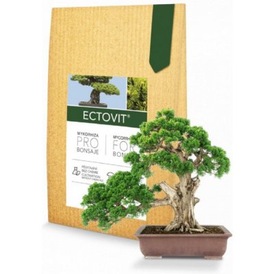 Ectovit Bonsai mykorhiza pro bonsaje Symbiom 100 g