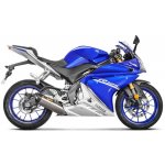 Akrapovič Racing Line S-Y125R4-HRT – Hledejceny.cz