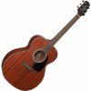 Takamine GD11M-NS