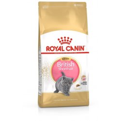 Royal Canin British Shorthair Kitten 2 x 10 kg