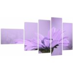 Obraz - Fialová květina, pětidílný 110x60 cm – Hledejceny.cz