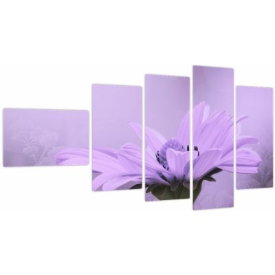 Obraz - Fialová květina, pětidílný 110x60 cm – Hledejceny.cz