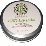 Green idea Green idea CBD balzám na rty 15 ml – Zboží Dáma