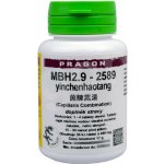 Pragon MFA2.9 - san bi tang 36 tablet – Hledejceny.cz