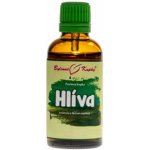 Bylinné kapky Hlíva kapky tinktura 50 ml – Hledejceny.cz