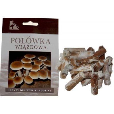 PLANTO Polnička topolová (Agrocybe aegerita) 20 ks - podhoubí na kolících PO-POT-20KS