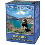 Everest Ayurveda DALCHINI Dýchací cesty 100 g – Hledejceny.cz