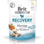 Brit snack Recovery herring & sea buckthorn 150 g – Zboží Mobilmania